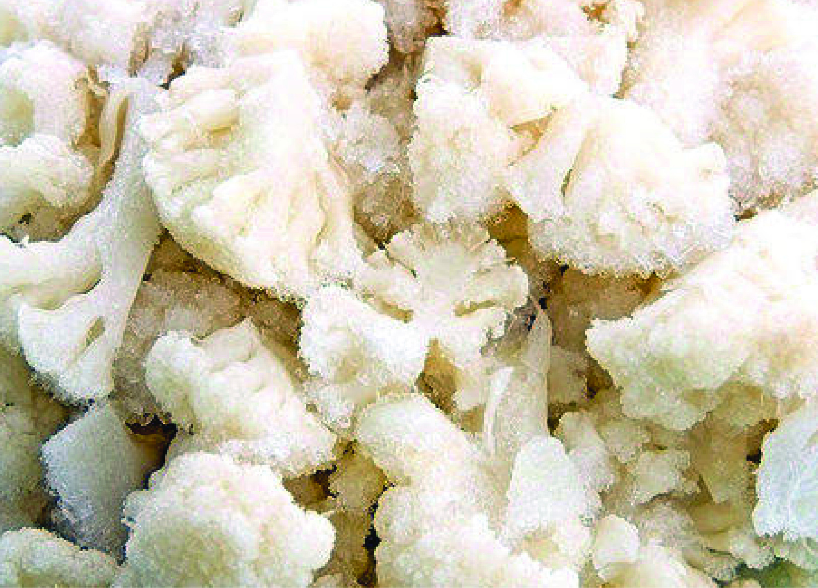Frozen Cauliflower