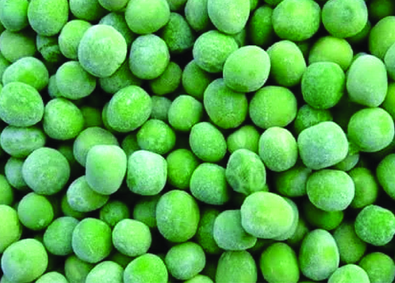 Frozen Green Peas