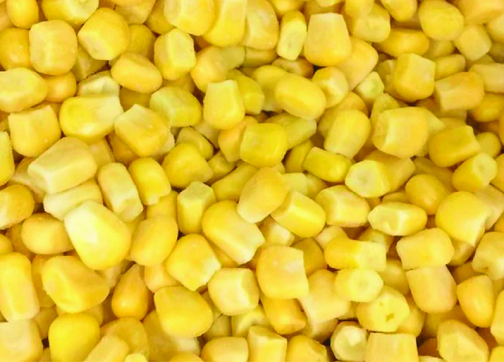 Frozen Sweetcorn
